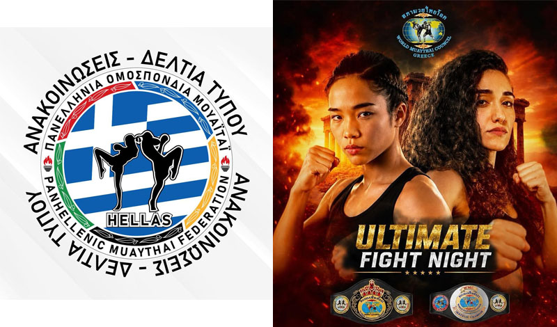 ultimate fight night pom