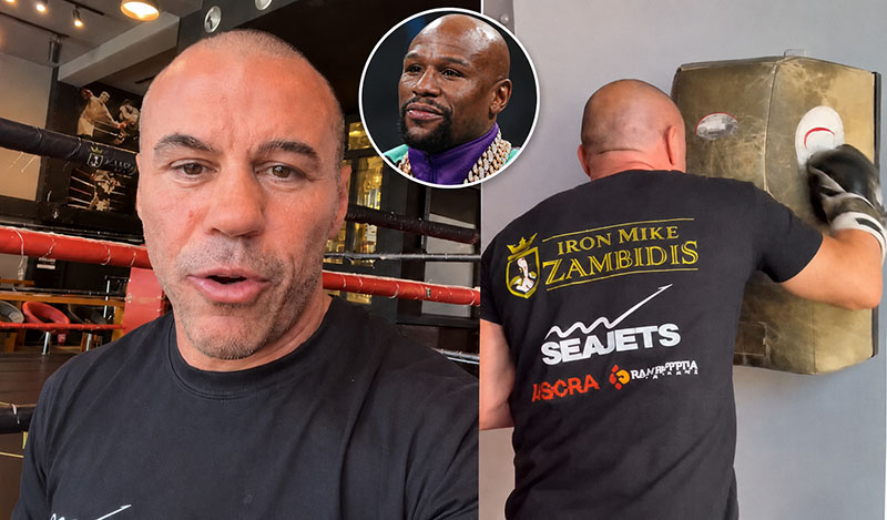 zambidis mayweather september