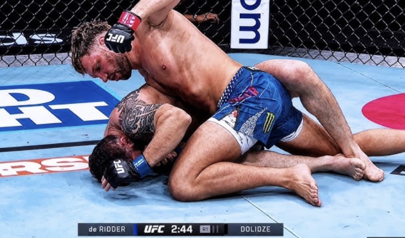 Roman Dolidze vs reinier de Ridder