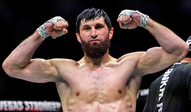 magomed ankalaev foto