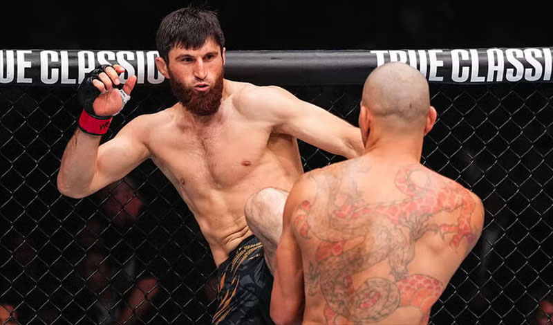 magomed ankalaev pereira