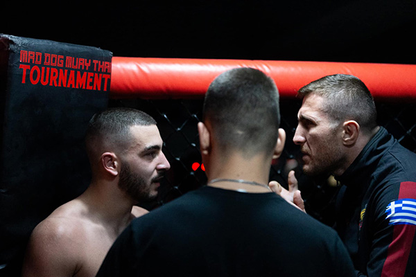 mad dog promotion apotelesmata 452767090