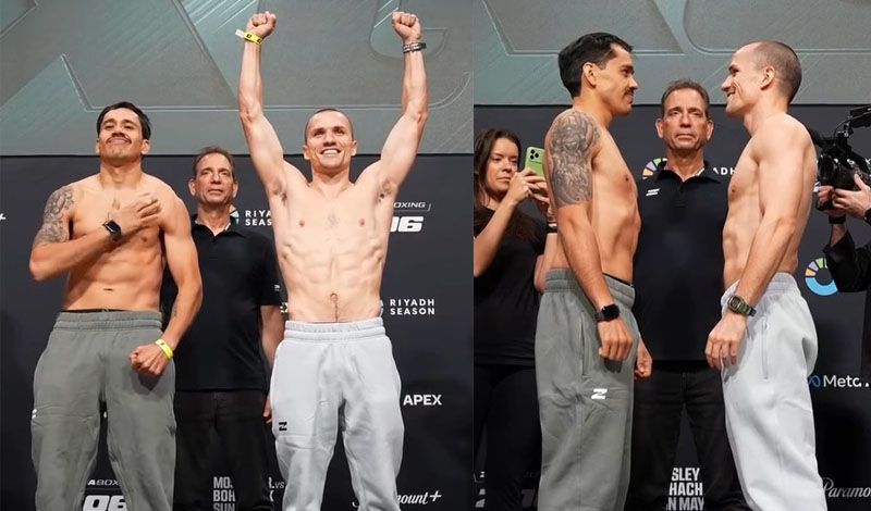 andreas katzourakis zygish zuffa boxing