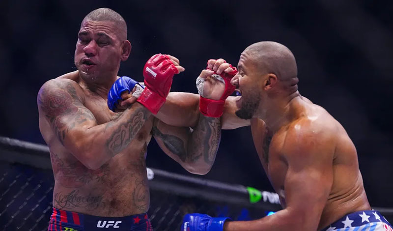 ciryl gane alex pereira ufc white house fight