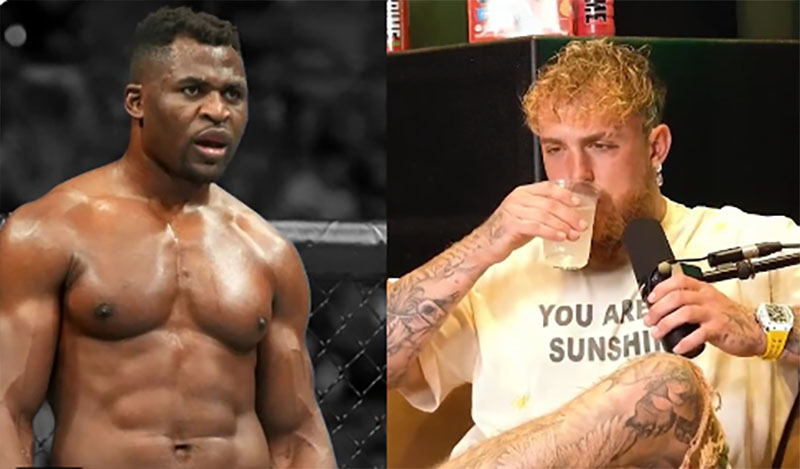 francis ngannou jake paul fight