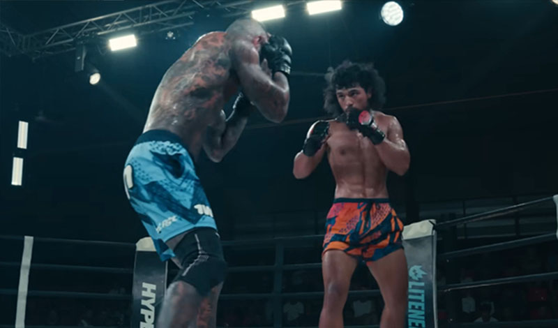 hype fighting plhromes