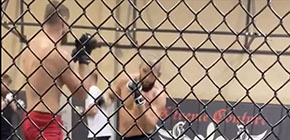 khamzat chimaev sean strickland sparring small