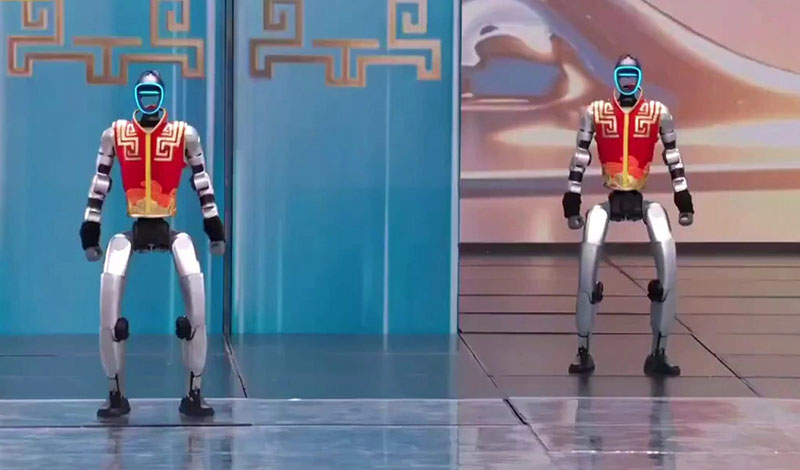 kung fu robot