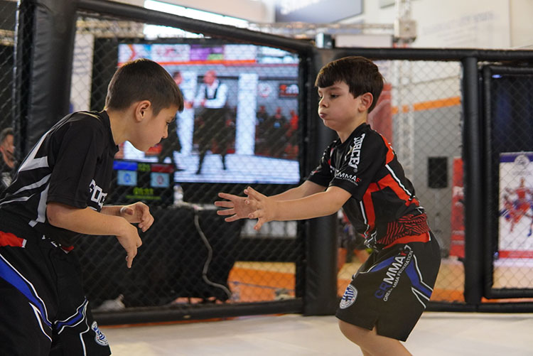 panellhnio kypello mma 2026 foto 2