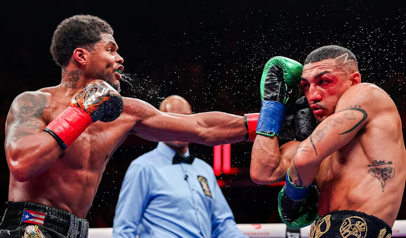 shakur stevenson teofimo lopez 32