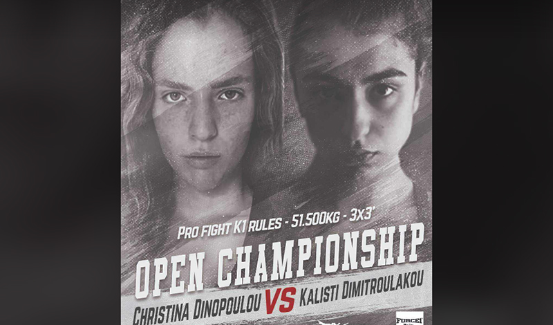 dinopoulou dimitroulakou