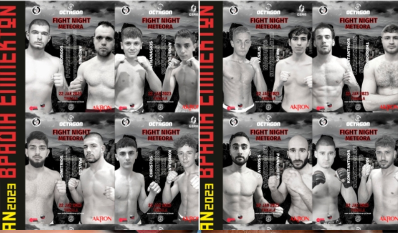 fight night meteora 11
