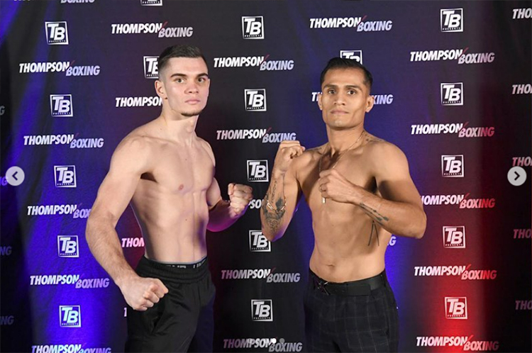 giannis manouilidis boxing 2