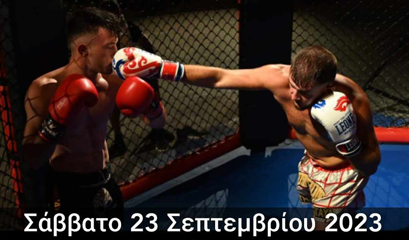 mad dog wkf sparring 34