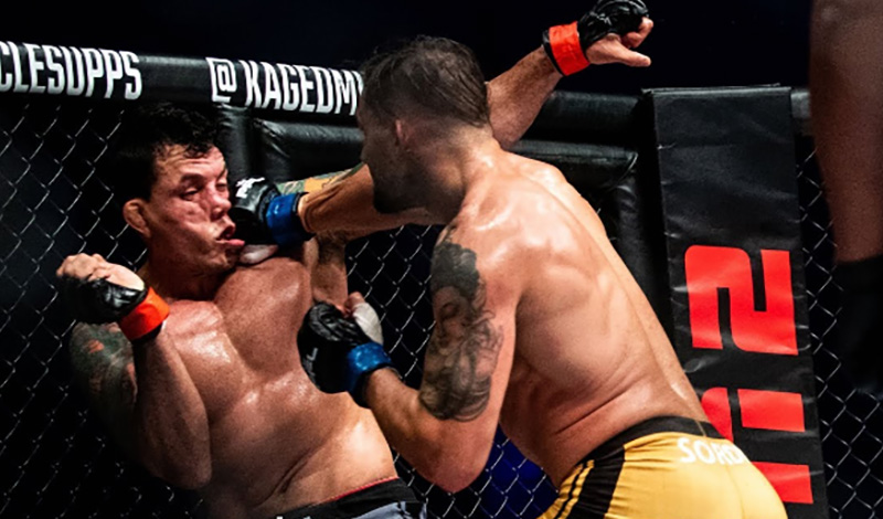 pfl best knockouts 2024