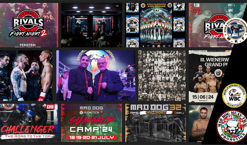 rivals fight night anartisi