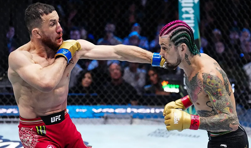 sean malley merab dvalishvili 3