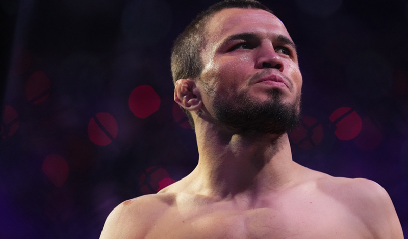 umar nurmagomedov post ufc 311
