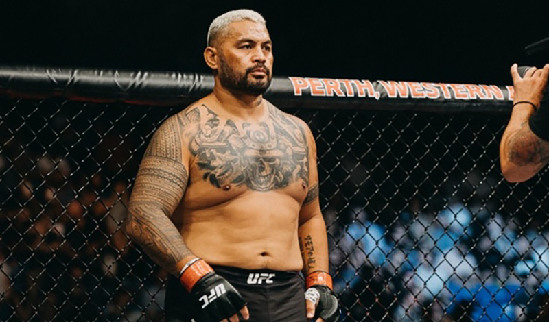 mark hunt 290