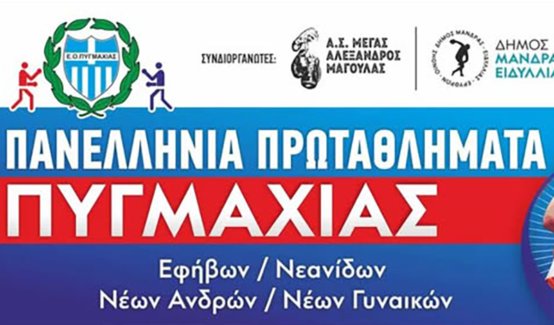 panellinia pygmaxias 2025 ii