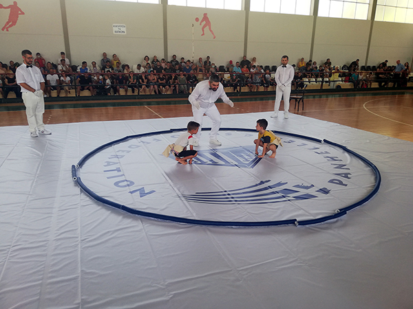 panellinio sumo 1