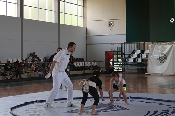 panellinio sumo 2