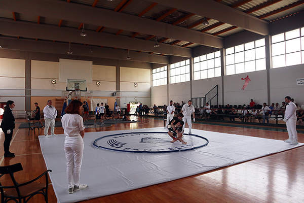 panellinio sumo 4
