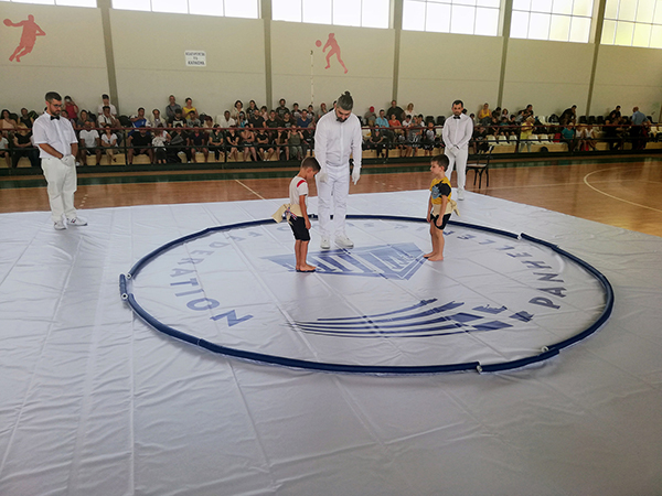 panellinio sumo 5