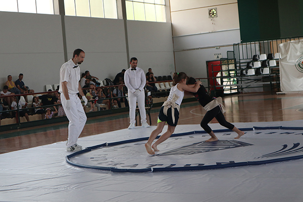 panellinio sumo 6