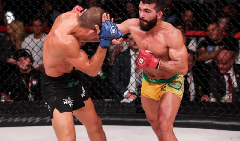 patricio freire borics