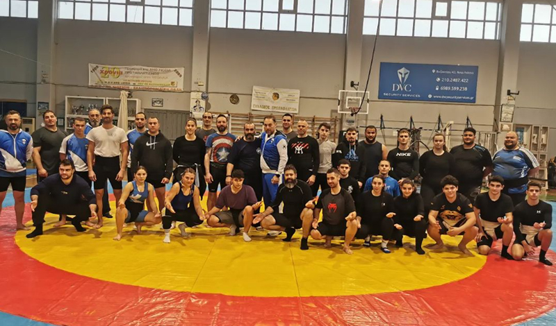 sumo ethniki omada
