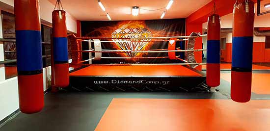 diamond camp 293300