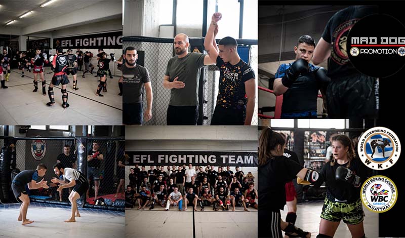 Challenger The Road to the Top