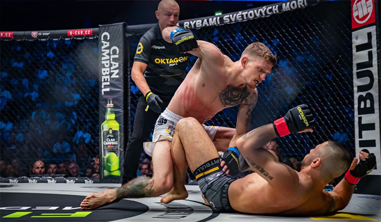 David Dvořák Mohammed Walid