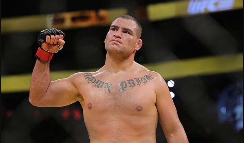 cain velasquez fylakisi