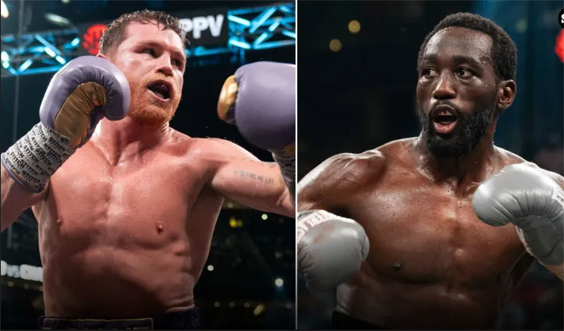 canelo crawford boxing