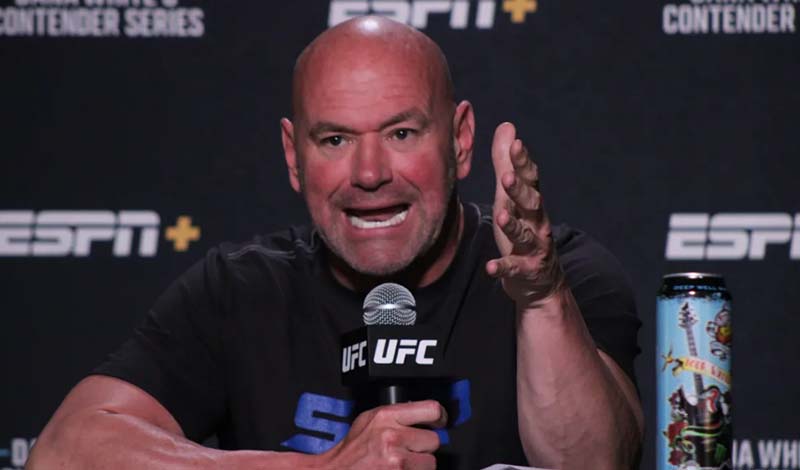 dana white ufc 315
