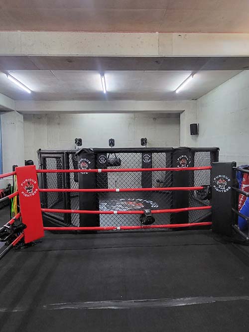 furious fighters 3