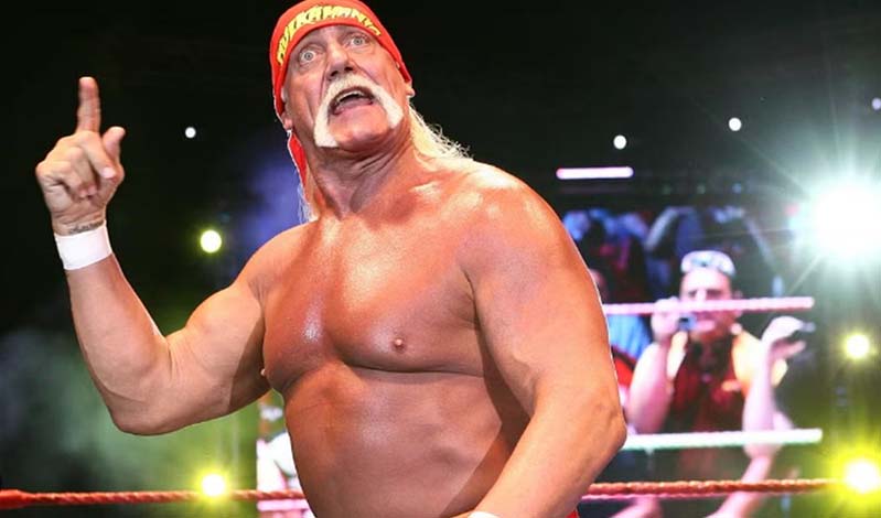 hulk hogan 545409