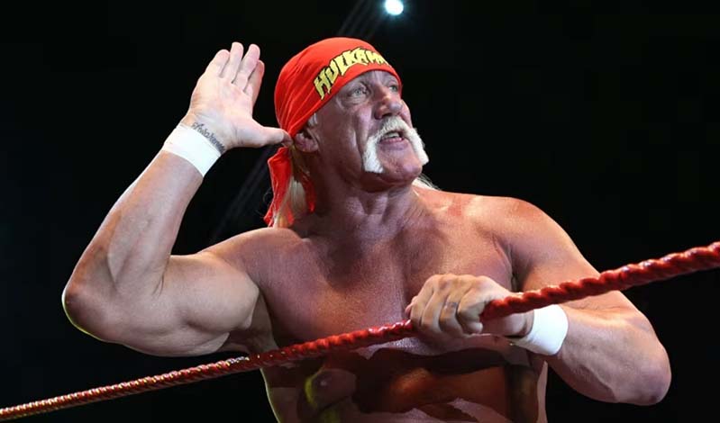 hulk hogan pethane
