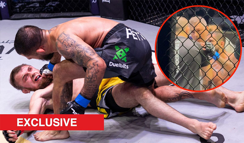 magomed magomedov khabib islam pfl dubai