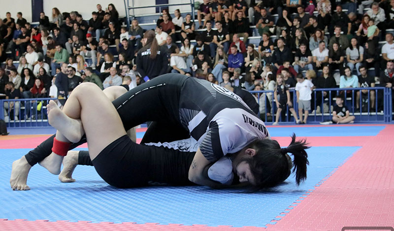 octagon fighting 200