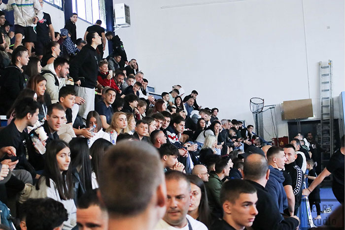 octagon fighting 2009