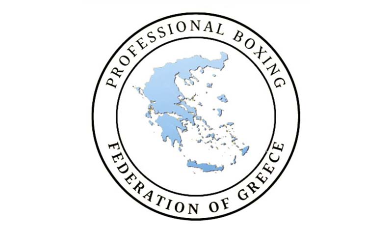 professional boxing 6