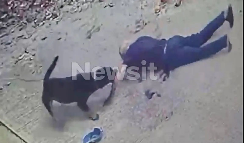 rotweiler hlikiomenos