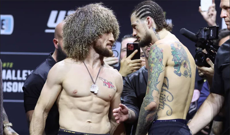 sean o malley merab dvalishvili 1