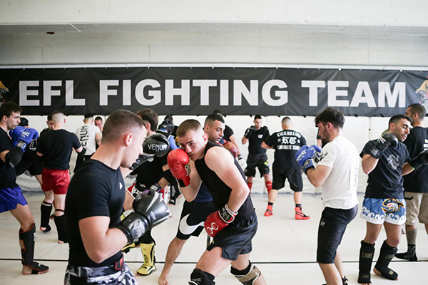 sparring day dometiou 779