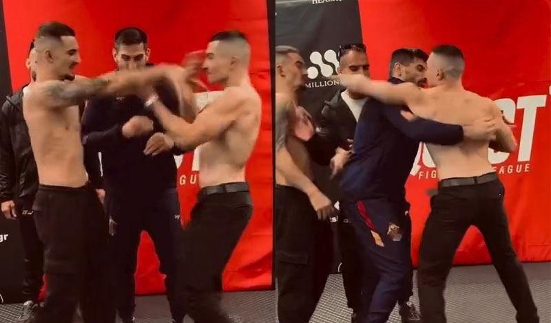 spyridis revelas mma quest 15