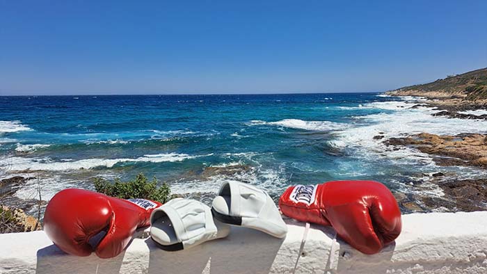 tsimpidis boxing team foto 7