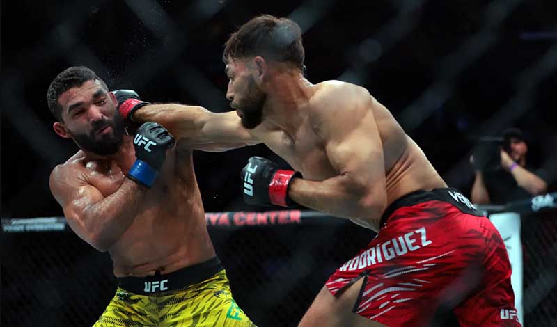 yair rodriguez patricio freire ufc 314